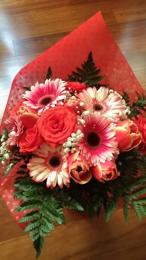 Appartamento La rosa dei venti Legnano Italia